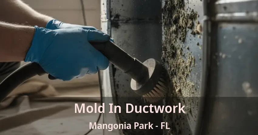 Mold In Ductwork Mangonia Park - FL