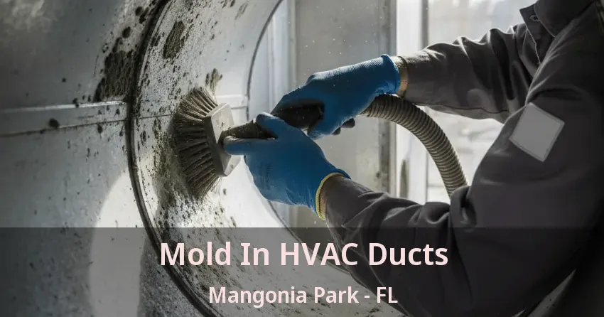 Mold In HVAC Ducts Mangonia Park - FL Mold In HVAC Ducts Mangonia Park - FL