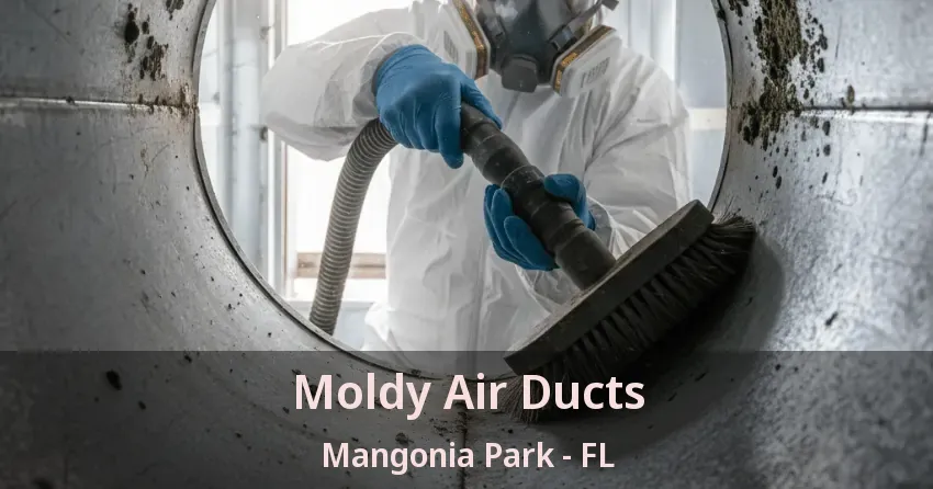 Moldy Air Ducts Mangonia Park - FL