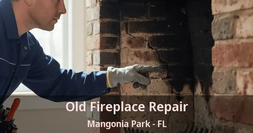 Old Fireplace Repair Mangonia Park - FL