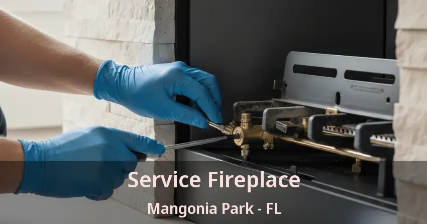 Service Fireplace Mangonia Park - FL