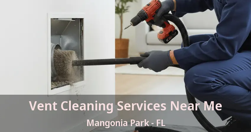 Vent Cleaning Services Near Me Mangonia Park - FL