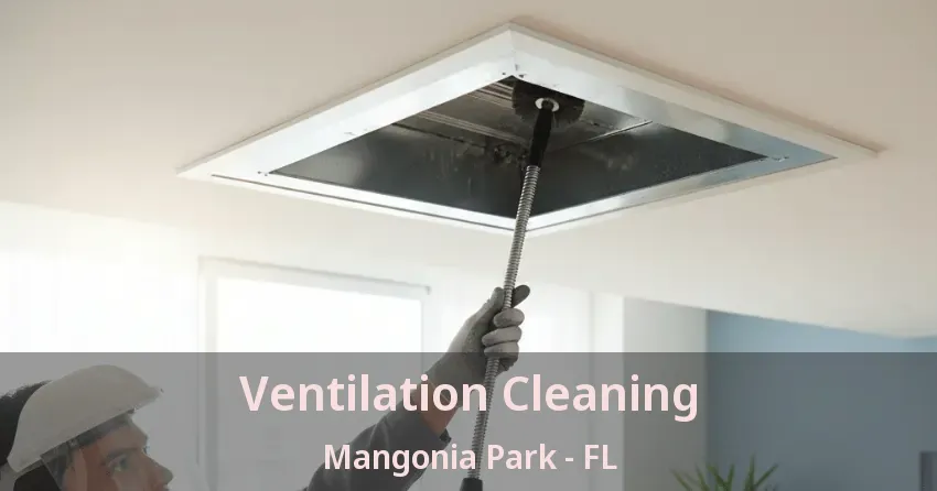 Ventilation Cleaning Mangonia Park - FL Ventilation Cleaning Mangonia Park - FL