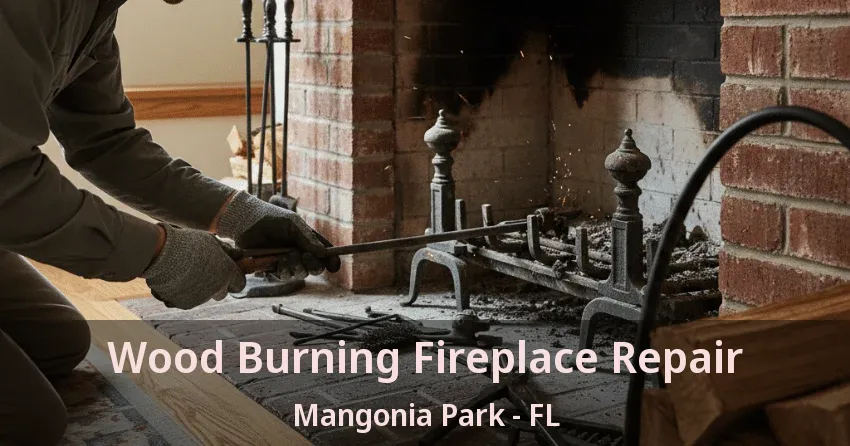 Wood Burning Fireplace Repair Mangonia Park - FL